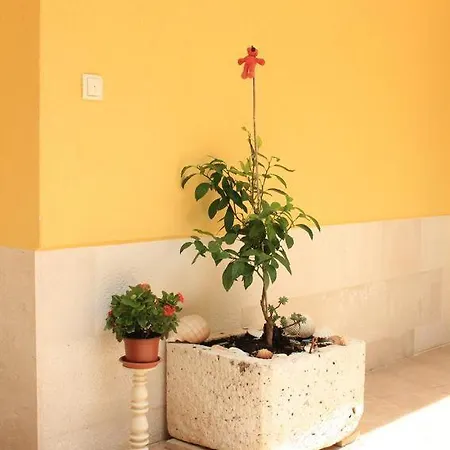 Ante Gega Apartament *